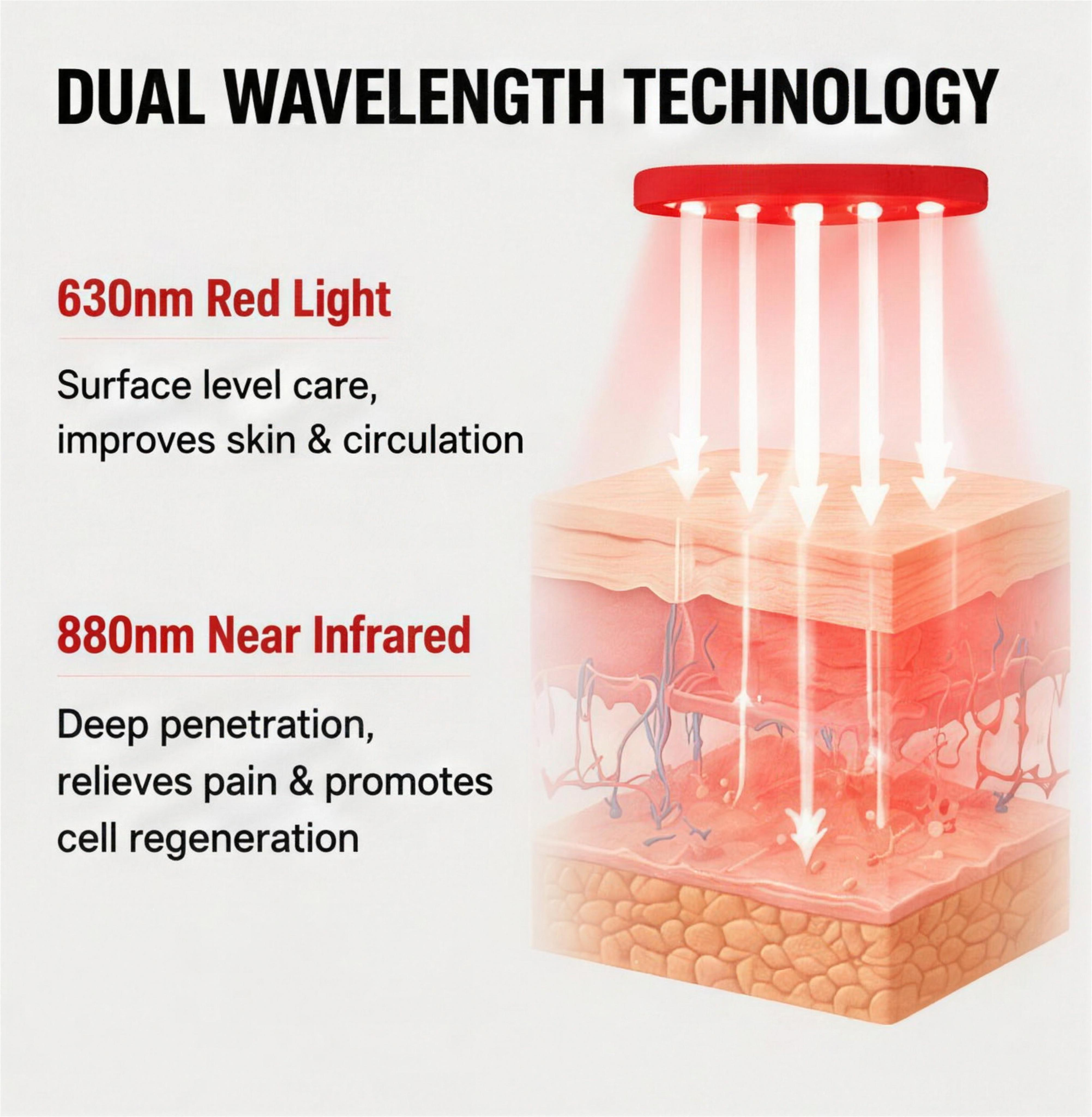 Reviara Light Therapy Belt - Dual Wavelength Technology 630nm 880nm